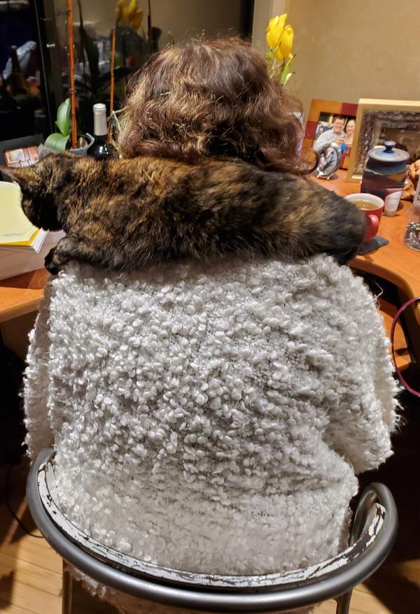 /Images/uploads/Congregation Beth Emeth/bethemeth/entries/17593thumb.jpg